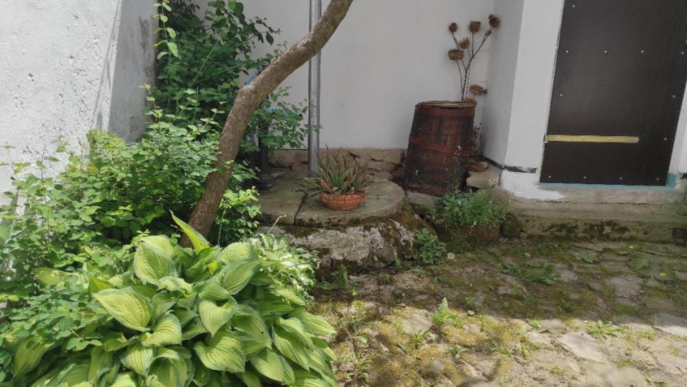 Ubytovani Pod Jilmem Zar Zewnętrze zdjęcie